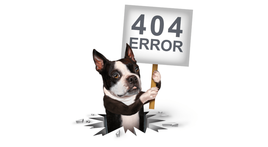 Причины возникновения ошибки 404