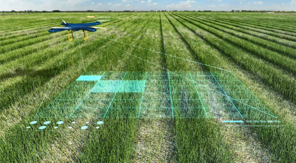 Применение ИИ в сельском хозяйстве - анализ данных для повышения урожайности, оптимизация полива и удобрений, мониторинг состояния почв и растений