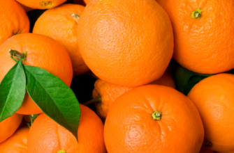 Апельсины в России обновили рекорд по росту цен