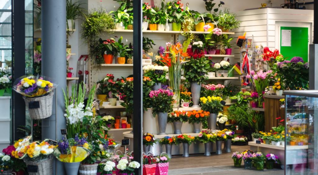 Как открыть свой магазин цветов: 10 советов